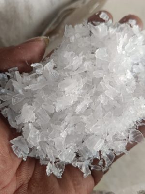 Cacahan PP Foto